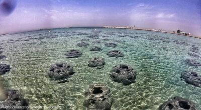 Photo: Courtesy of www.reefball.org