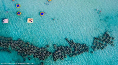 Photo: Courtesy of www.reefball.org