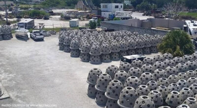 Photo: Courtesy of www.reefball.org