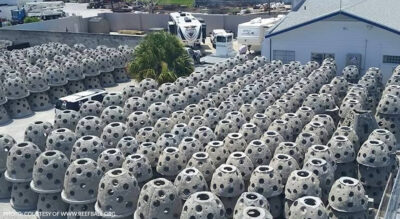 Photo: Courtesy of www.reefball.org