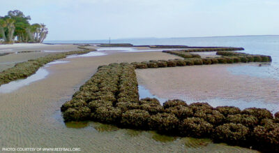 Photo: Courtesy of www.reefball.org