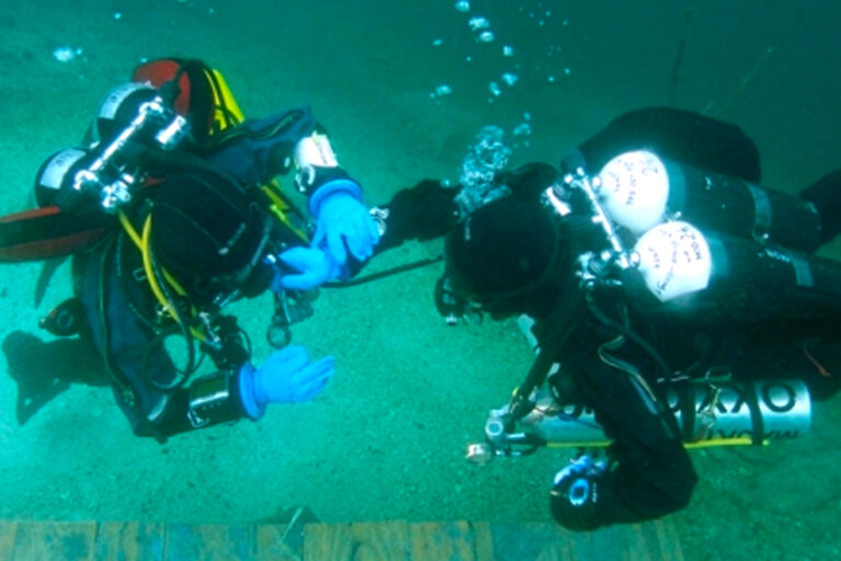 Desygnowanie na Course Director