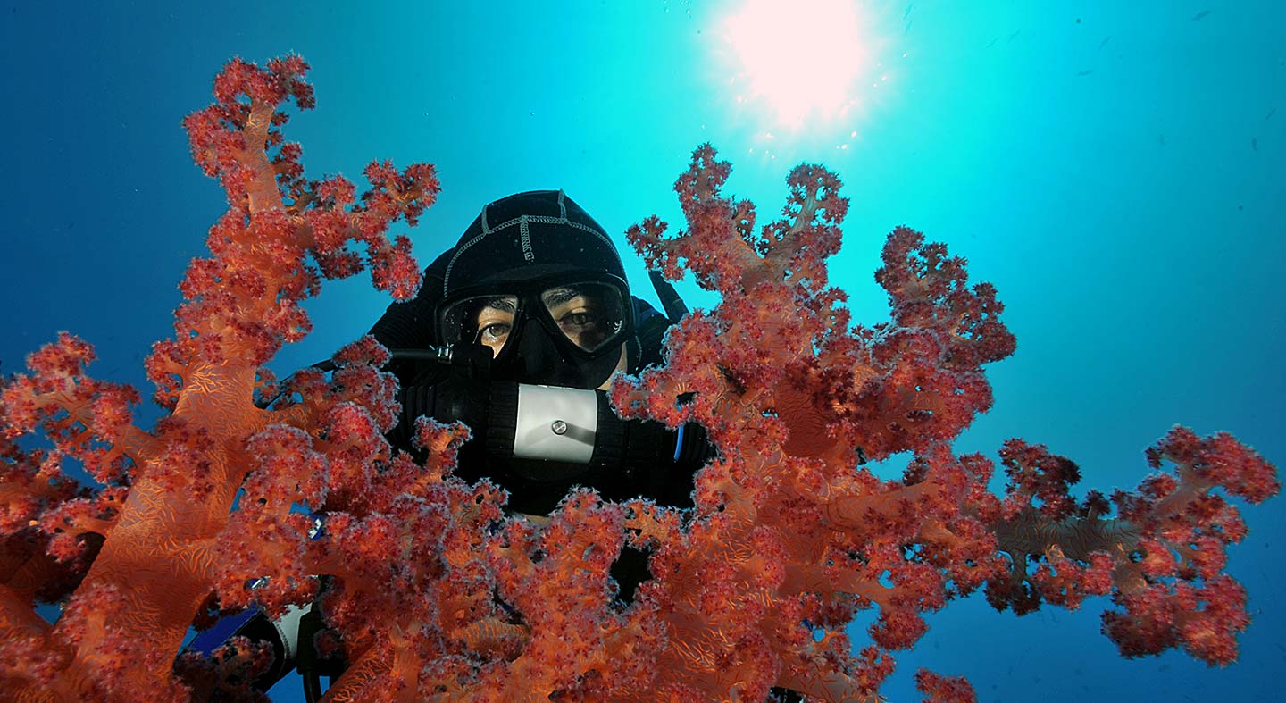 Rebreather Diving